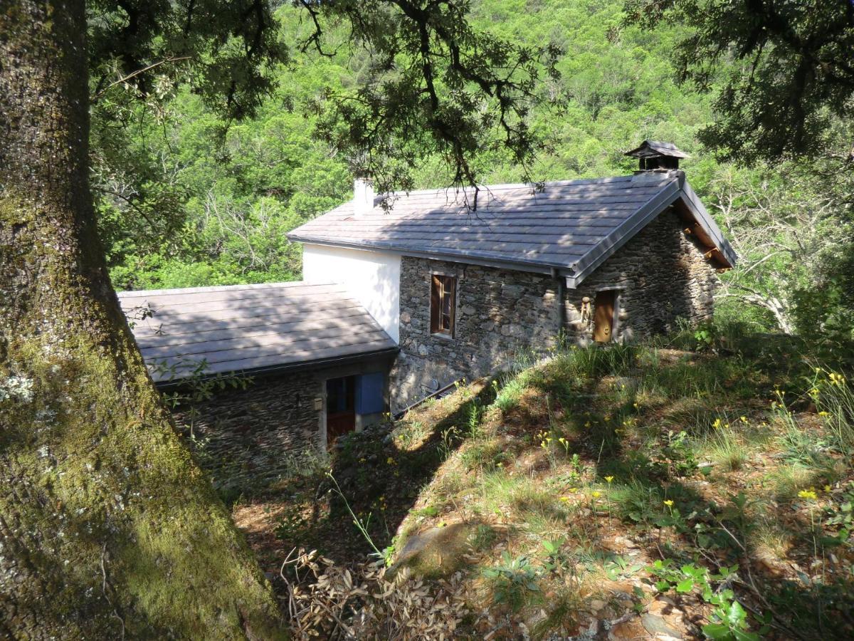 Transgardon B&B En Cevennes Saint-Privat-de-Vallongue Exterior photo
