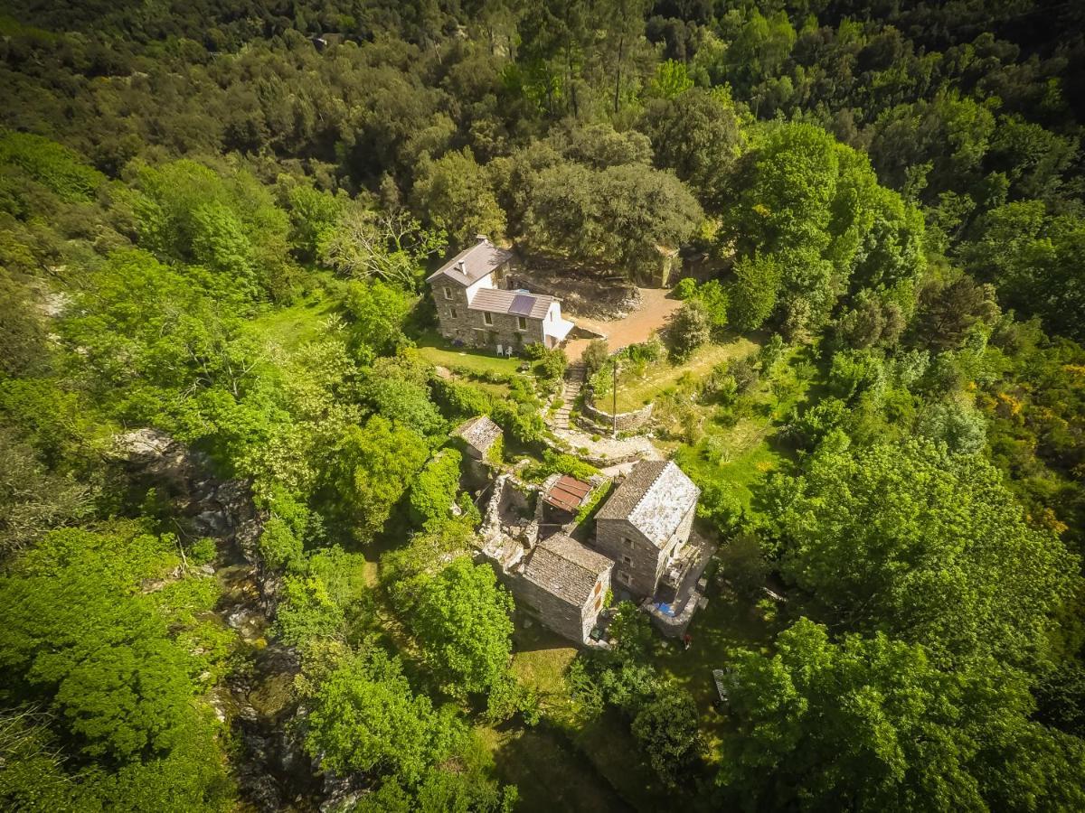 Transgardon B&B En Cevennes Saint-Privat-de-Vallongue Exterior photo