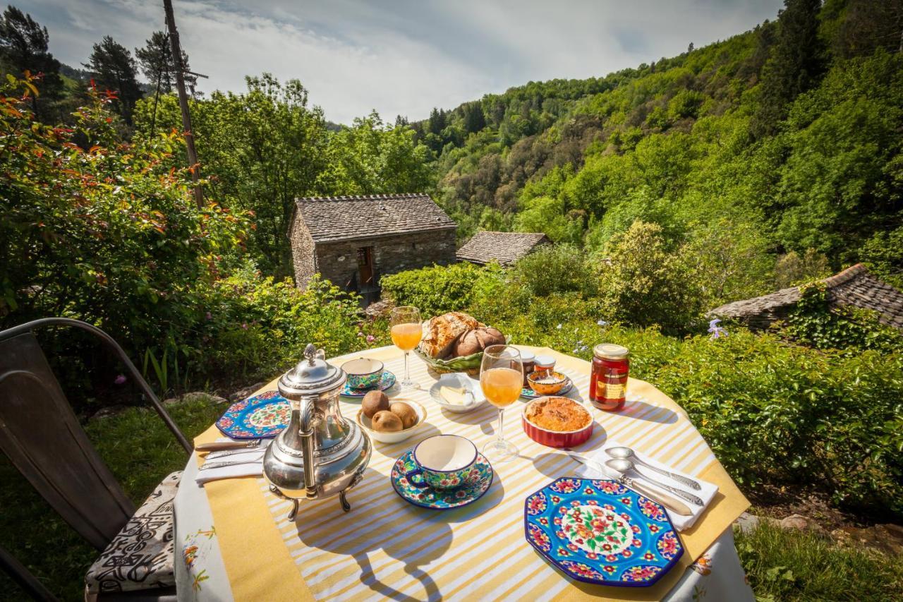 Transgardon B&B En Cevennes Saint-Privat-de-Vallongue Exterior photo