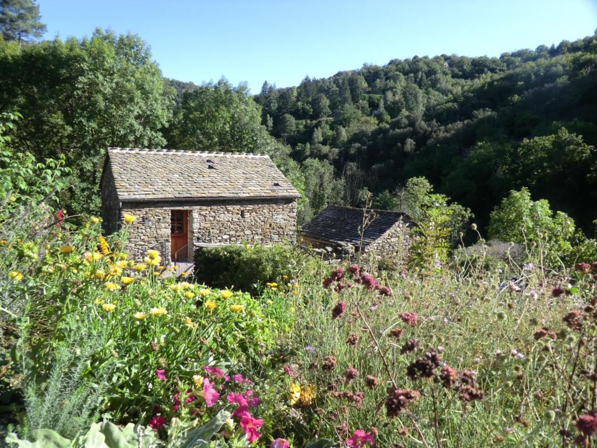 Transgardon B&B En Cevennes Saint-Privat-de-Vallongue Exterior photo